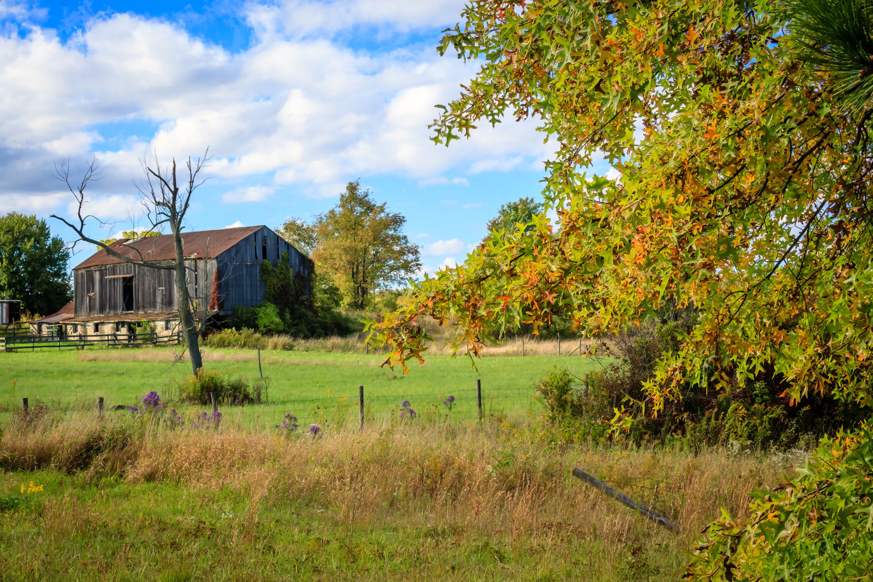 Hartville, Oh 2